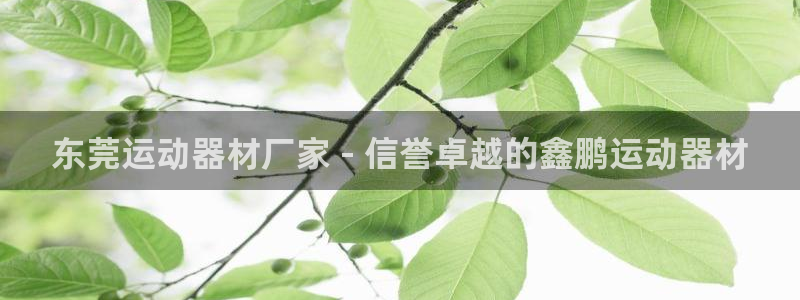 意昂3官方：东莞运动器材厂家 - 信誉卓越的鑫鹏运动