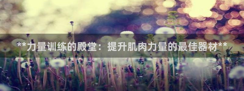 意昂3科技:**力量训练的殿堂:提升肌肉力量的最佳器材**